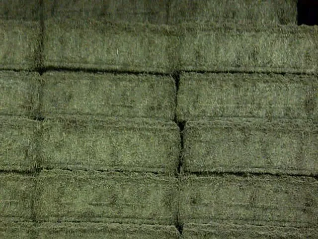 Luzerne Déshydratée en bottes