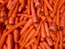 Carrottes